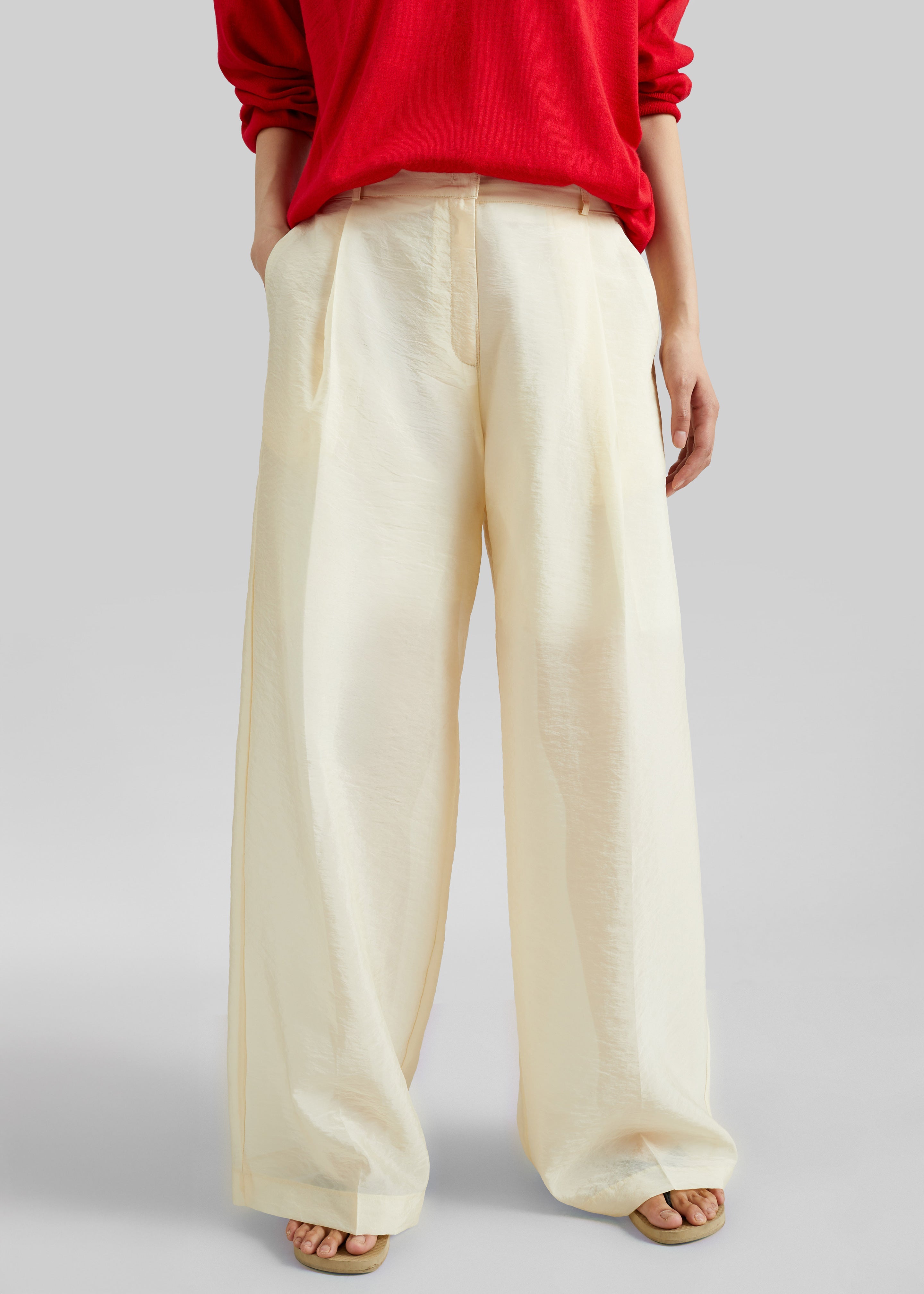 Alvito Sheer Organza Pants - Pale Yellow