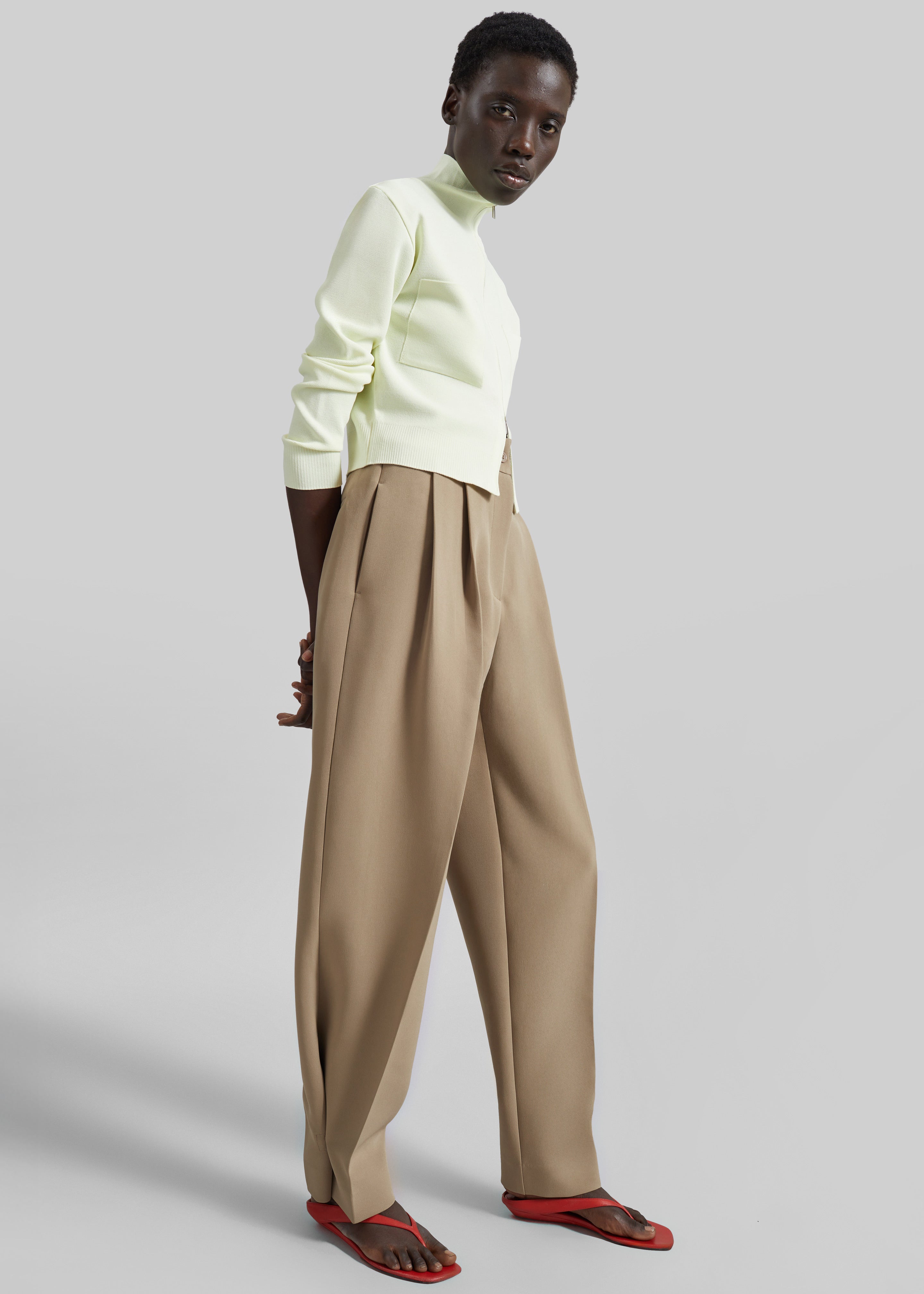 Doyer Pleated Trousers - Beige