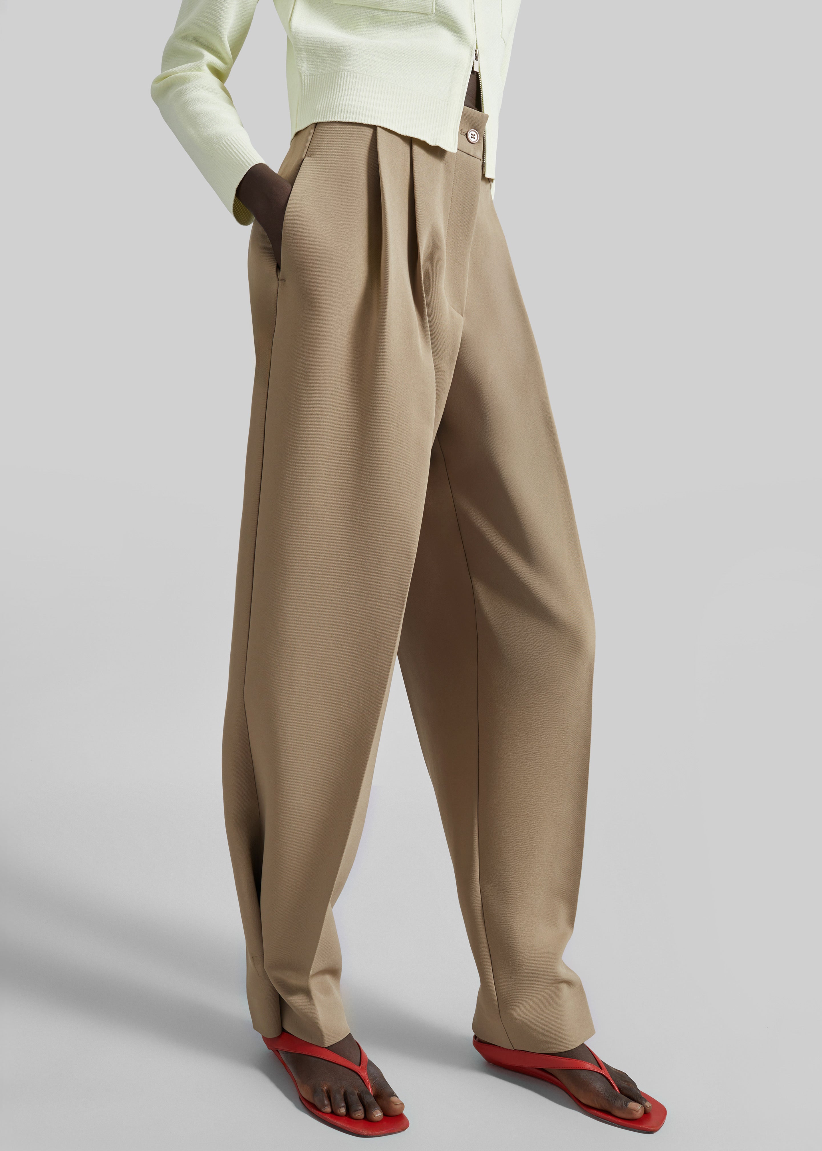 Doyer Pleated Trousers - Beige