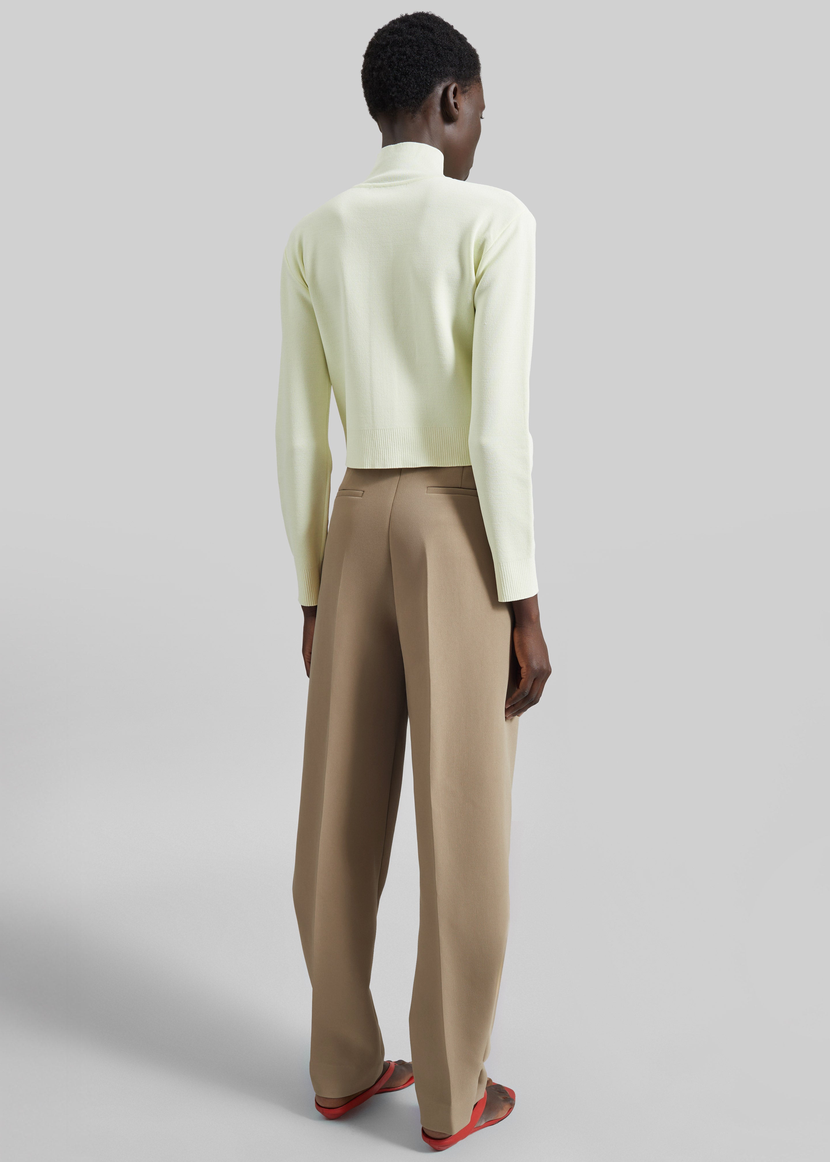 Doyer Pleated Trousers - Beige